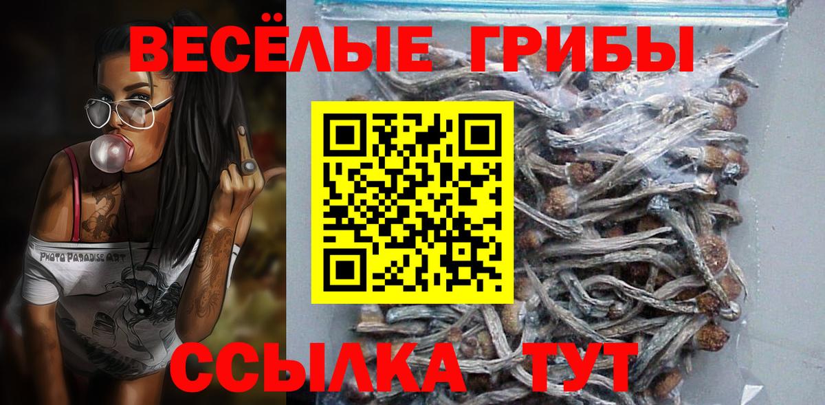 Галлюциногенные грибы ЛСД  Вход с VPN  Котельники 