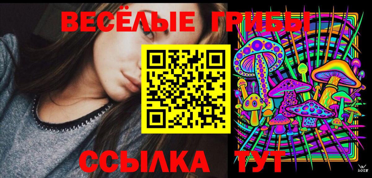 Псилоцибиновые грибы мицелий Котельники